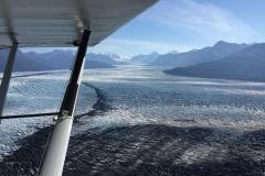 Lady Bush Pilot - Alaska